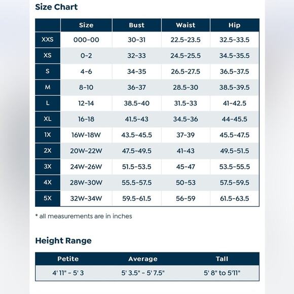 DG2 by Diane Gilman Striped Organic Cotton Collared Pullover Sweater NWT 3X - Picture 2 of 4